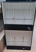 4 tt kooien, Dieren en Toebehoren, Dwergpapegaai of Agapornis