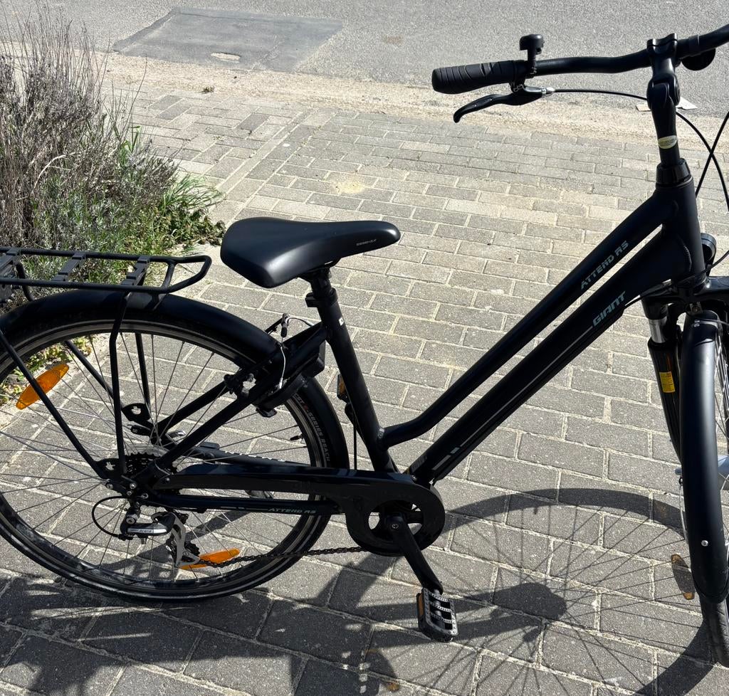 Damesfiets merk Giant, Ophalen, Giant