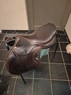 Cwd 2gs mademoiselle 17.5 inch 2025, Dieren en Toebehoren, Ophalen of Verzenden