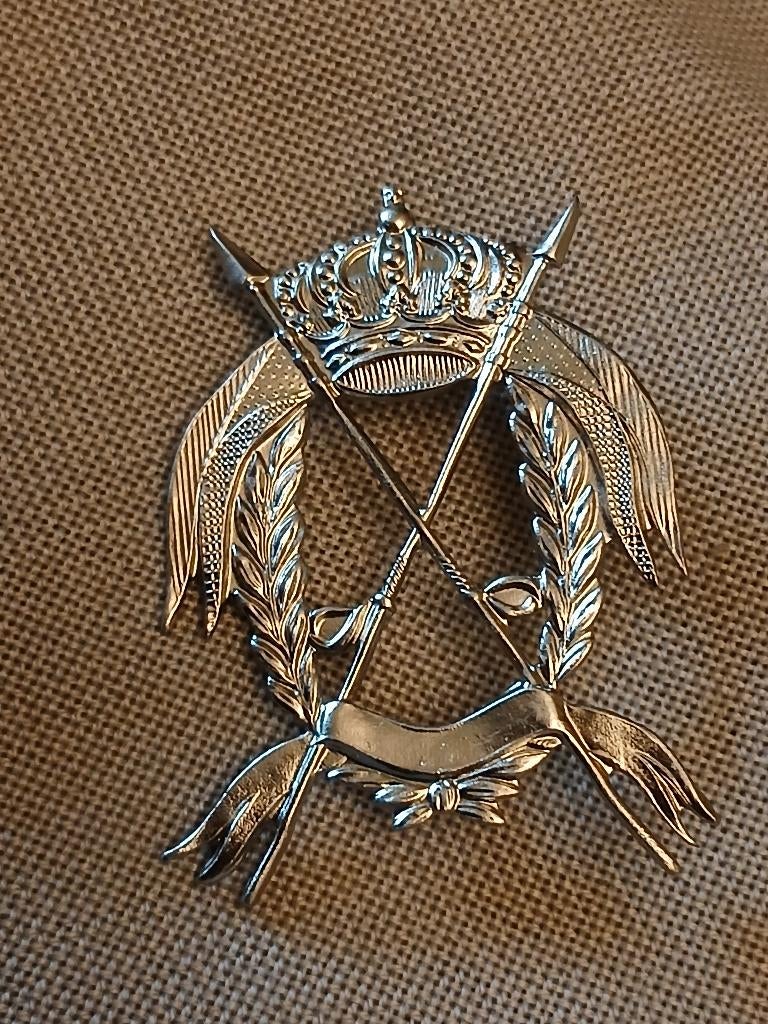 Insigne regiment de lanciers, Enlèvement