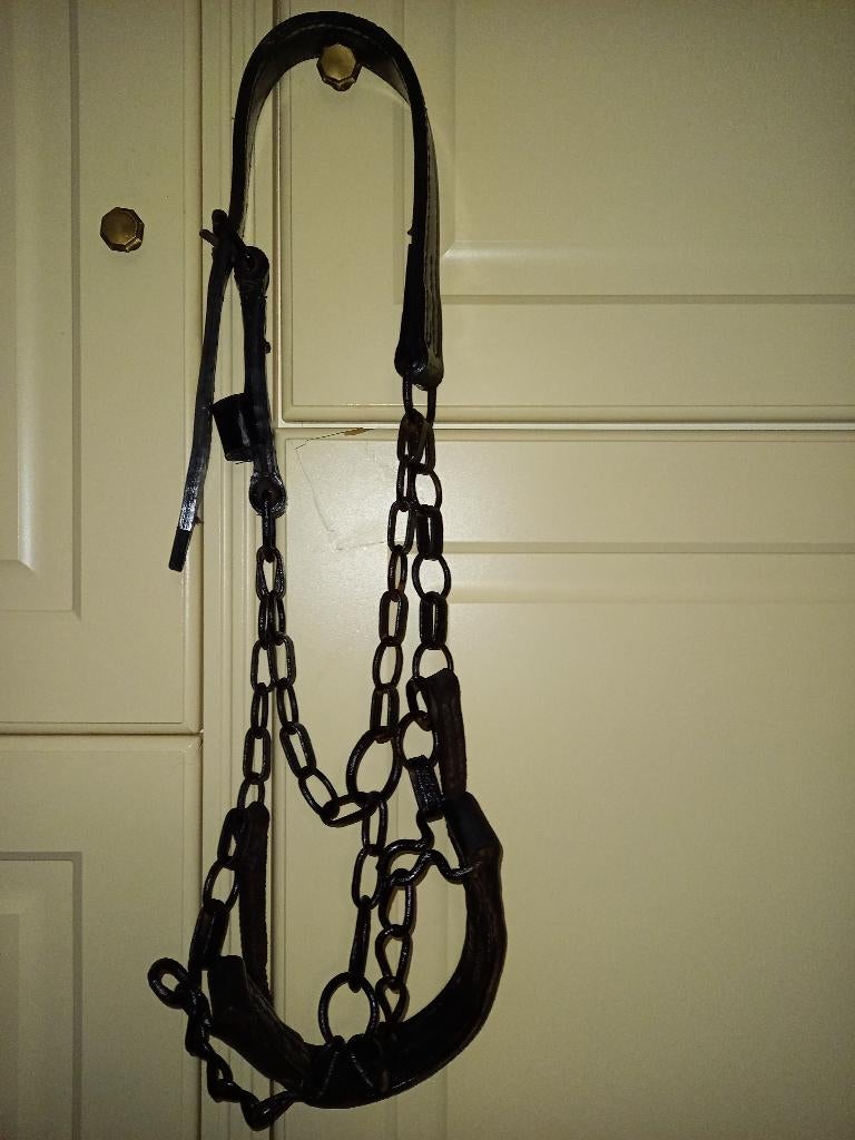 Halster boerenpaard, Ophalen