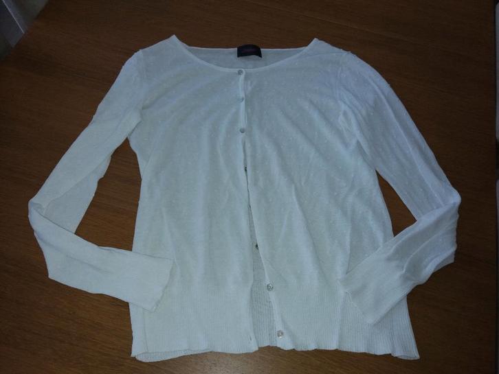 Melvin mooi wit giletje - maat 42, Kleding | Dames, Truien en Vesten, Zo goed als nieuw, Maat 42/44 (L), Wit, Ophalen of Verzenden