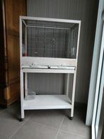 Vogelkooi, Animaux & Accessoires, Enlèvement, Utilisé, Bois, Cage à oiseaux