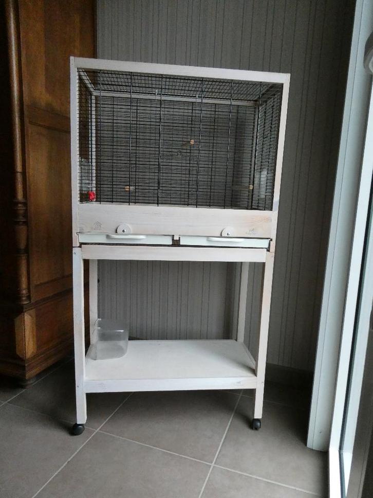 Vogelkooi, Animaux & Accessoires, Oiseaux | Cages & Volières, Utilisé, Cage à oiseaux, Bois, Enlèvement