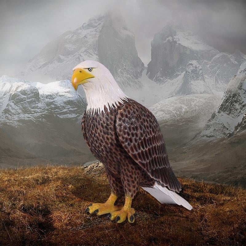 American Bald Eagle – Adelaar Hoogte 99 cm, Ophalen, Nieuw