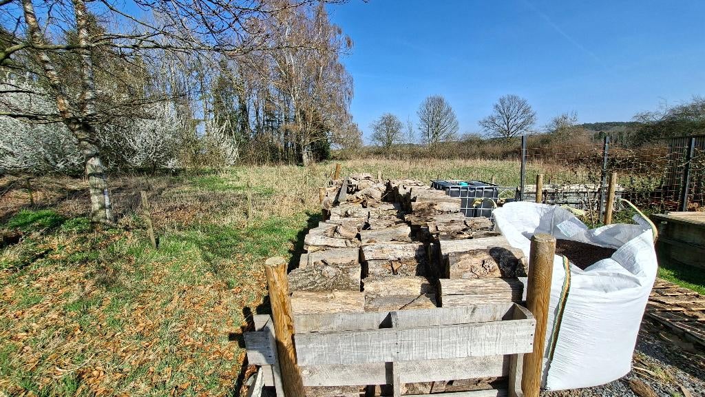 bois de  chauffage, 3 à 6 m³, Enlèvement, Bouleau, Bûches