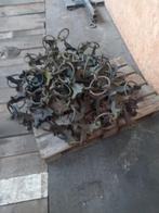 TAPIS DE SOMMEIL, Enlèvement, Cultures