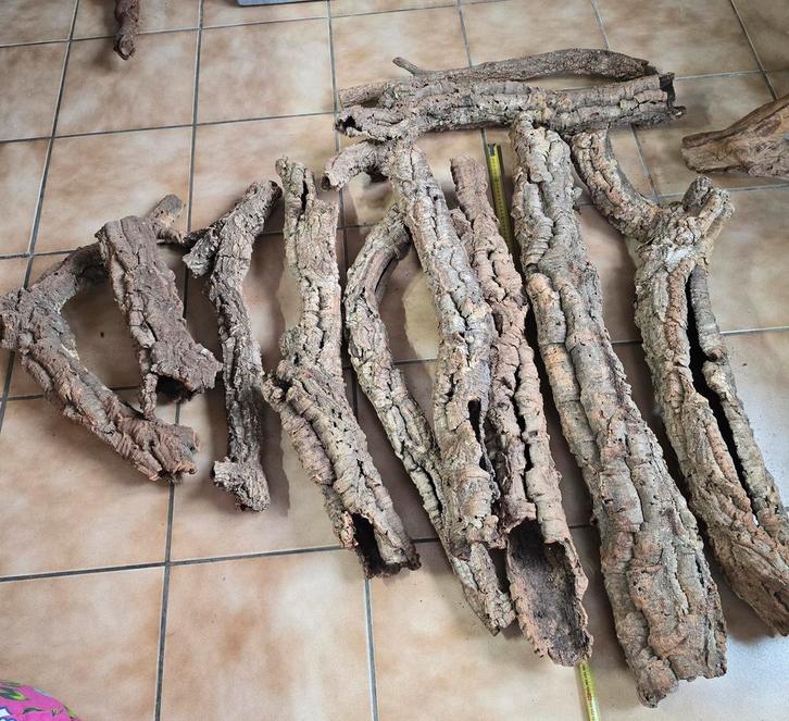 Tunnel et branche en liège, Animaux & Accessoires, Reptiles & Amphibiens | Accessoires