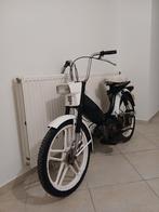 Honda camino funny carnval, Fietsen en Brommers, Brommers | Honda, Ophalen