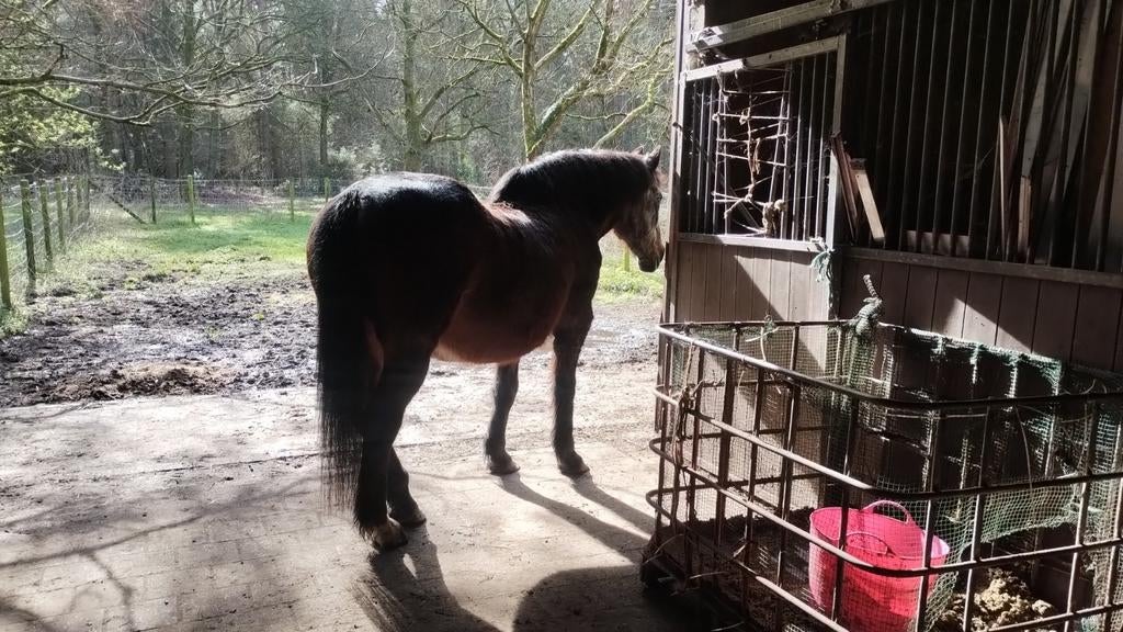 Verzorging, Tickets en Kaartjes, Recreatie | Dierentuinen