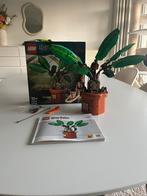 Lego Harry Potter 76433 - Mandrake, Ophalen, Zo goed als nieuw, Lego