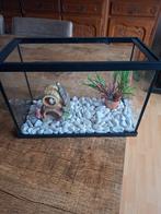 Aquarium, Dieren en Toebehoren, Ophalen of Verzenden