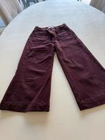 3/4 broek oraije, Kleding | Dames, Broeken en Pantalons, Ophalen of Verzenden, Nieuw, Maat 36 (S)