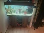 aquarium met veel vissen te koop, Ophalen of Verzenden