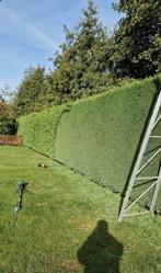 Tuinman, Tuin en Terras, Ophalen