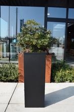 Brievenbussen: beursmodellen met extra korting, Tuin en Terras, Ophalen, Zo goed als nieuw, Staal, Staande brievenbus