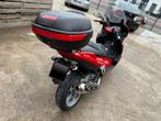 Gilera Nexus 500, Motos, Scooter, Plus de 35 kW, 2 cylindres, Particulier