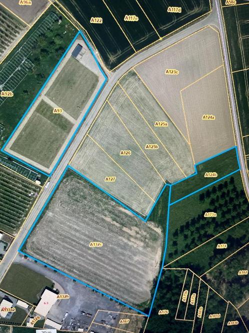 Weide te koop 1.76 Ha, Dieren en Toebehoren, Stalling en Weidegang, Weidegang, 4 paarden of pony's of meer