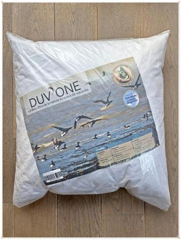DUV’ ONE - OREILLER 100% PLUMETTES – 60*60CM beschikbaar voor biedingen
