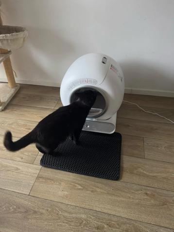 Zelfreinigende kattenbak (nooit gebruikt) beschikbaar voor biedingen
