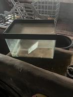 Schildpadden aquarium, Ophalen, Gebruikt