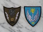 Bataillons 528 "VLAD" et 95 Air Force (Roumanie), Armée de terre, Enlèvement ou Envoi