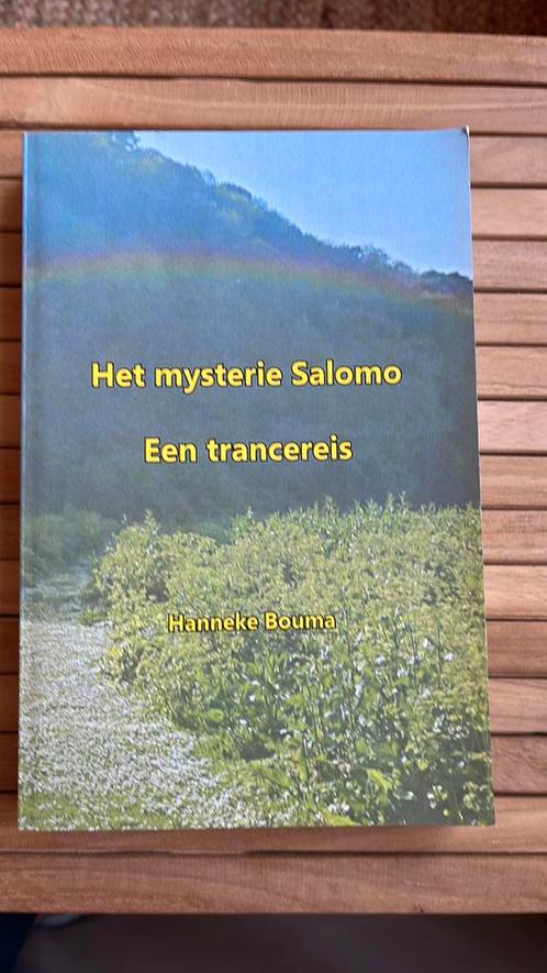 Hanneke Bouma - Het mysterie Salomo, Livres, Ésotérisme & Spiritualité, Comme neuf, Enlèvement ou Envoi