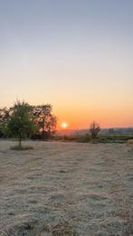 GRATIS onderhoud van weides en grasland!