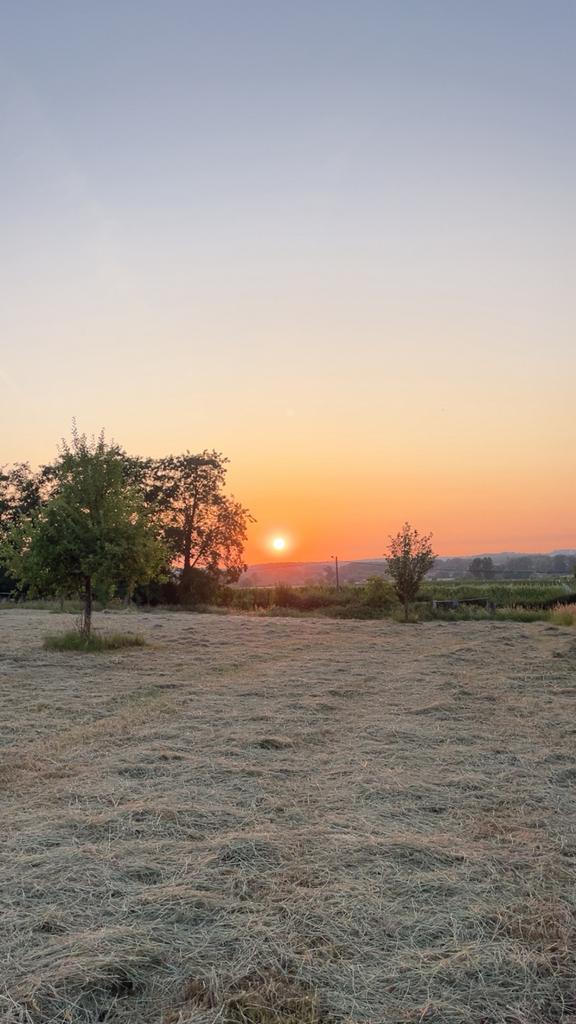 GRATIS onderhoud van weides en grasland!, Immo, Terrains & Terrains à bâtir
