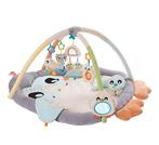 Speelmat, Kinderen en Baby's, Ophalen, Gebruikt