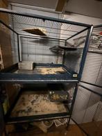 Savic suite royal knaagdierenkooi chinchilla kooi, Ophalen, Kooi, Zo goed als nieuw, Hamster