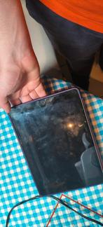 Ipad 9 e génération, Enlèvement ou Envoi, Utilisé, 256 GB