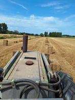 Hooi te koop, Dieren en Toebehoren, Paarden