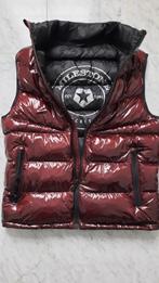 MILESTONE bodywarmer gelakt bordeaux rood M 50, Maat 48/50 (M), Nieuw, Milestone, Ophalen of Verzenden