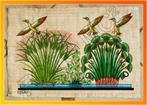 Prachtige Kleurrijke Papyrus uit Egypte 40 x 60 cm NIEUW, Enlèvement