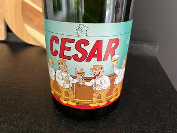 Lege 3l fles cesar bier, Enlèvement ou Envoi