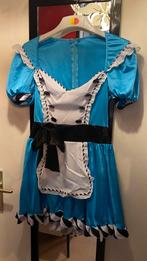 Alice verkleedkostuum maat M, Kleding | Dames, Carnavalskleding en Feestkleding, Ophalen, Gedragen