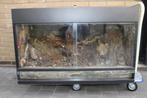 Groot Paludarium - Terrarium - 100x50x64 cm, Dieren en Toebehoren, Reptielen en Amfibieën | Toebehoren, Gebruikt, Terrarium of Paludarium