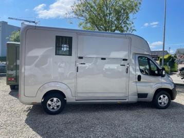 Nieuwe opel , full option 0 km , hengsten uitvoeriing beschikbaar voor biedingen