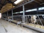 Gevraagd: Stalinrichting vleesvee | Voederbakken| voedertrog, Dieren en Toebehoren, Runderen