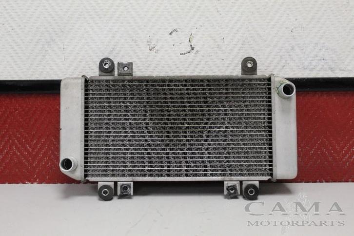 RADIATEUR Kawasaki NINJA 250 (ZXR250 EX250J ZX 250 R), Motoren, Onderdelen | Kawasaki, Gebruikt