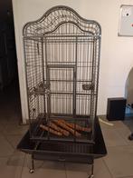 papegaaienkooi 81 x 77 x 154 cm met stoken, Dieren en Toebehoren, Ophalen