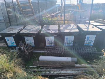 8 x Filter oase proficlear, Bitron 110c, vortex, quarantaine beschikbaar voor biedingen