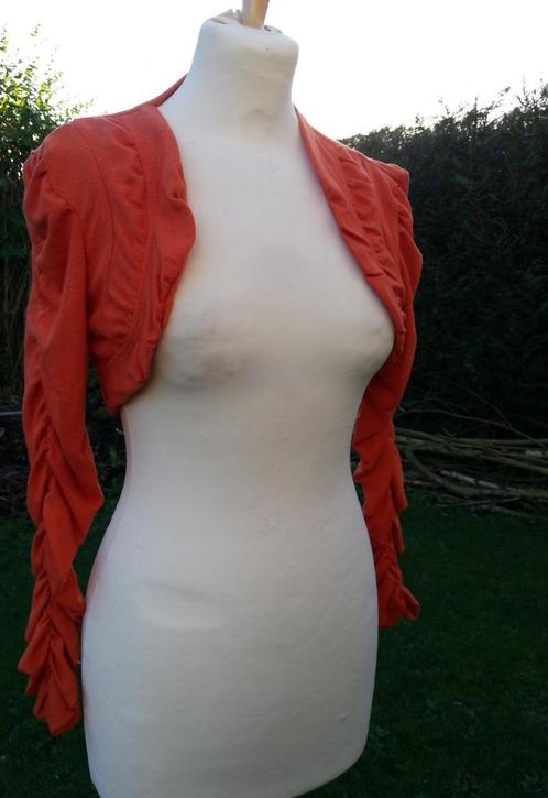 bolero met frons soort pofmouw oranje / roestbruin Nieuw TU, Vêtements | Femmes, Pulls & Gilets, Neuf, Taille 36 (S), Orange, Enlèvement ou Envoi