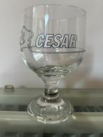 Bierglas Cesar 33cl, Ophalen, Zo goed als nieuw, Bierglas