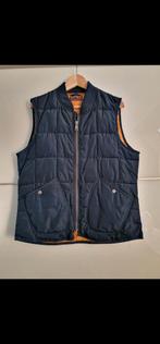 Heren Esprit bodywarmer, Kleding | Dames, Bodywarmers, Ophalen, Gedragen, Blauw