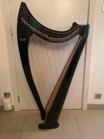 Salvi harp 34 snaren te huur beschikbaar voor biedingen