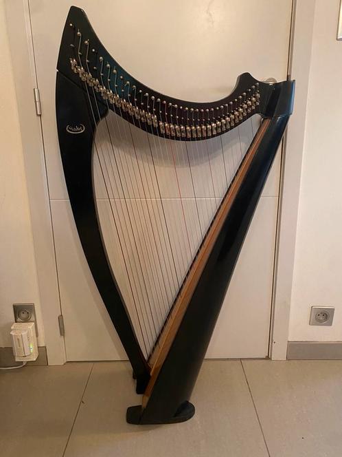 Salvi harp 34 snaren te huur, Muziek en Instrumenten, Snaarinstrumenten | Harpen, Ophalen