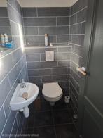 Tegel, Ophalen, 40 tot 60 cm, Nieuw, Minder dan 20 cm