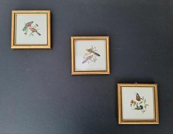 Oude tegeltjes Hemiksem tropische vogels beschikbaar voor biedingen